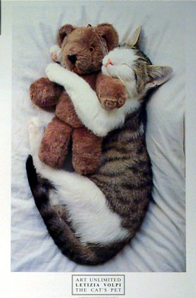 image003.jpg
